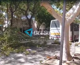 Caos total en el Centro: un colectivo y un auto se chocaron y tiraron un árbol