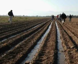 Expertos de la UNSJ encendieron las alarmas por la crisis del agua