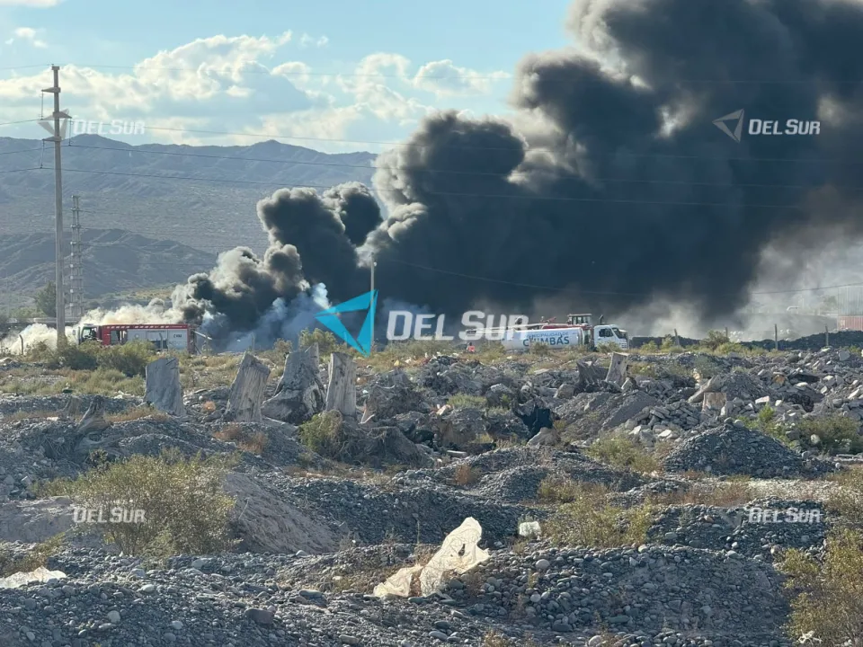 WhatsApp Image 2026-03-31 at 17.52.43.jpeg