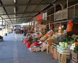 Feria y Mercado de Abasto: conocé cómo quedaron los valores de la semana