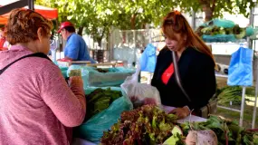 La feria vuelve al Centro Cívico con sabores y precios de acá