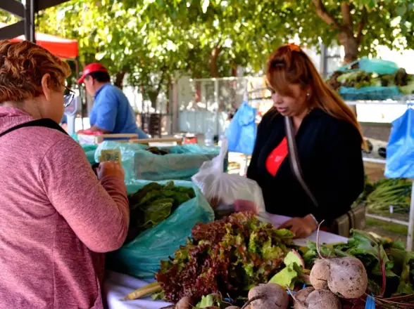La feria vuelve al Centro Cívico con sabores y precios de acá