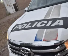 Brutal ataque en Desamparados: un perro murió apuñalado y buscan al responsable
