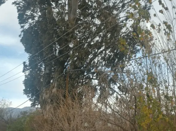 El viento volvió a complicar el servicio eléctrico en varios sectores