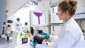 Milei avanza con un proyecto que sacude farmacias, campo, cultura y finanzas