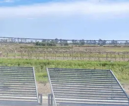 En San Juan, el INTA zafa por ahora del plan de venta de tierras