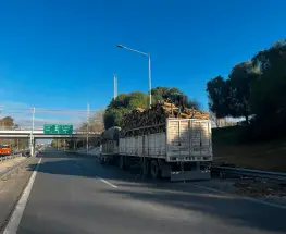 Se desparramó una carga de leña en la Circunvalación y frenó todo el anillo interno