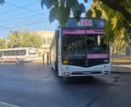 Liberaron al colectivero que chocó a una mujer en pleno microcentro