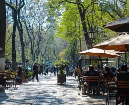 Un poste se desplomó sobre un nene en una plaza y el municipio deberá pagar