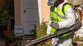 La Ciudad refuerza los operativos contra plagas en varios barrios