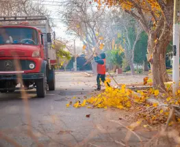Arrancó la poda controlada en Rivadavia para proteger el arbolado y ordenar las calles