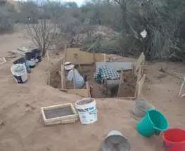 Insectos en la escena del crimen: el hallazgo sanjuanino que puede cambiar una causa