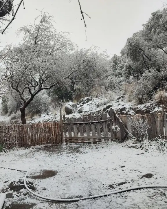 Valle Fértil se vistió de blanco y dejó imágenes espectaculares en medio del invierno - Imagen