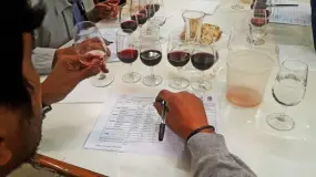San Juan desembarca en La Rural con una nueva cita para los vinos argentinos