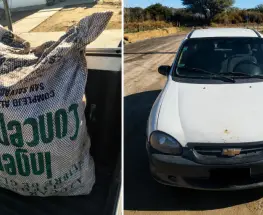 En Jáchal, las cámaras destaparon el robo de cebollas y la Policía recuperó la mercadería