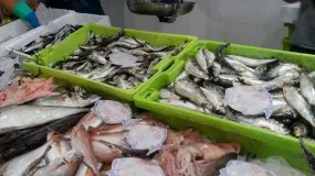 San Juan refuerza los controles para comprar pescado sin correr riesgos