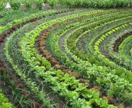 INTA y CeNET apuestan a formar docentes con foco en el ambiente