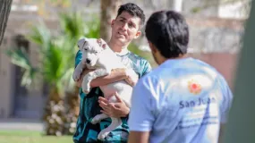 La Provincia sale a la calle con operativos gratis por el Día del Animal