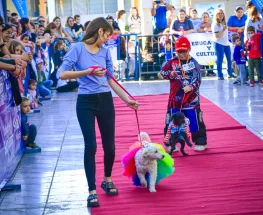 Mascotas, desfile y plaza llena: Santa Lucía se prepara para celebrar a lo grande