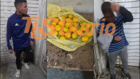 Robaron mandarinas dos veces en la misma casa y terminaron detenidos