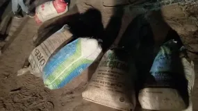 Operativo en Caucete: hallaron 300 kilos de pasas ocultas en un descampado