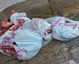 Bronca vecinal en La Bebida: tiraron animales faenados en un canal