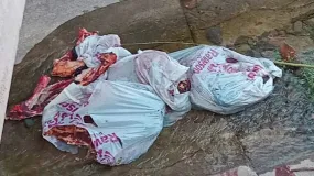 Bronca vecinal en La Bebida: tiraron animales faenados en un canal