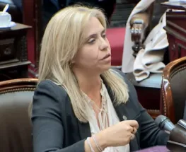 Picón llevó la pulseada por la minería al Congreso y pidió reglas claras para San Juan