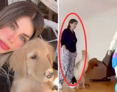 Capturaron en Venezuela a la suegra señalada por el crimen de una ex reina de belleza
