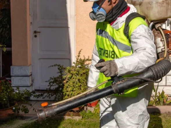 La Ciudad activa una semana de fumigación y control de roedores en varios barrios