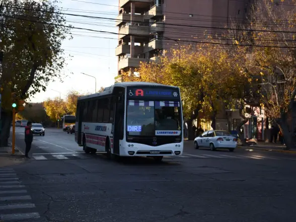 SUBE bajo la lupa: detectaron que algunos usuarios no utilizan correctamente el boleto gratuito