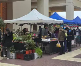 La Plaza Seca se llena de productos frescos y sabores de la tierra