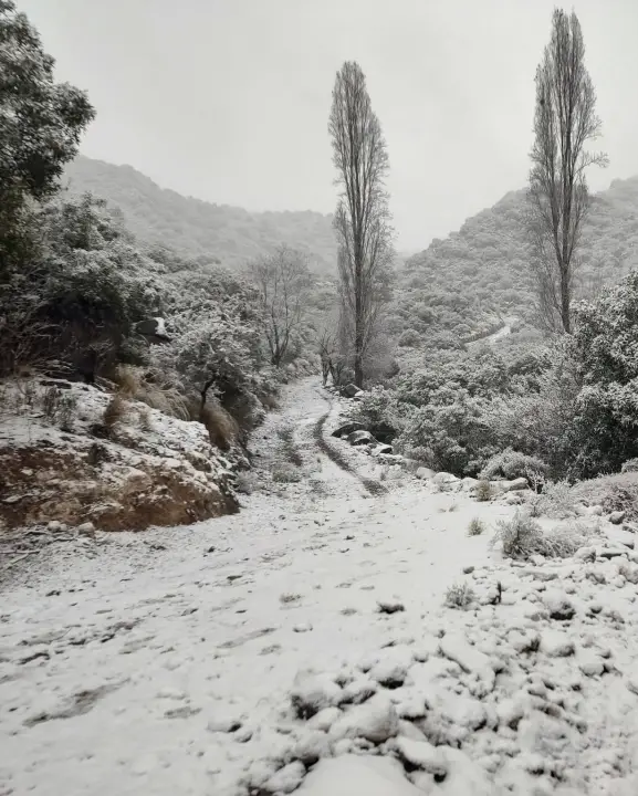 Valle Fértil se vistió de blanco y dejó imágenes espectaculares en medio del invierno - Imagen