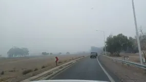 Hielo y niebla complican varios tramos de rutas sanjuaninas