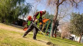 La Ciudad arranca una semana de limpieza y arreglos en más de 40 plazas y paseos