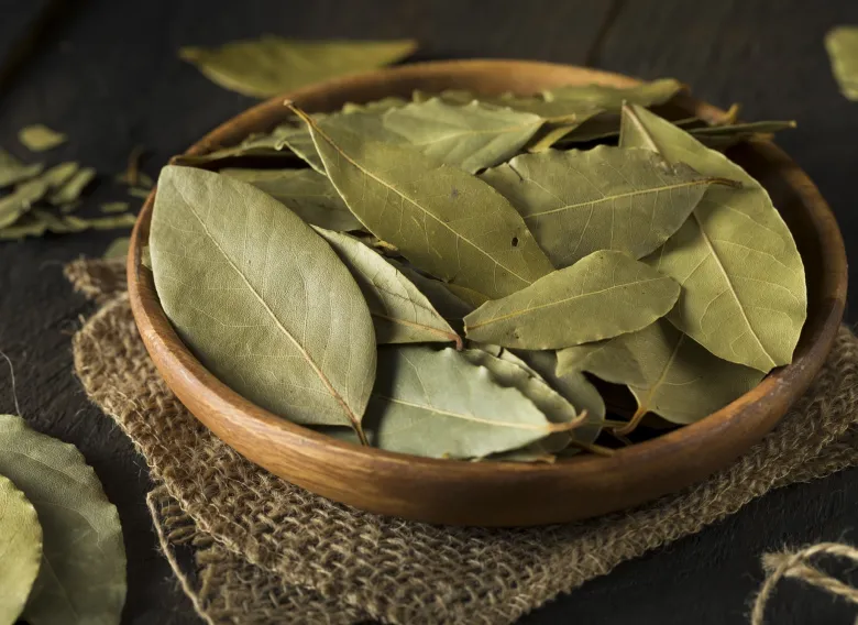 El sencillo ritual con laurel que hay que hacer este domingo con la luna nueva: qué atrae