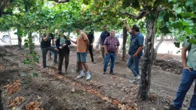San Juan se pone las pilas y arma la Mesa de Viveros Vitícolas para mejorar la vid