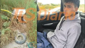 Entraron por la medianera y la fuga terminó entre los yuyos