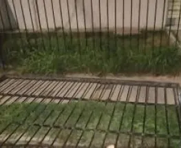 Un portón se desprendió en una casa y dejó a dos chicos heridos