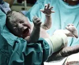 "La fertilidad hay que cuidarla desde edades tempranas": la advertencia de un especialista ante los cambios sociales y demográficos