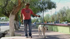 Ambiente lleva operativos gratuitos para perros y gatos en Chimbas y Pocito