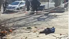 Un hombre cayó desde altura al podar un árbol y terminó internado