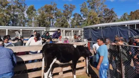 Ullum y Zonda se reparten una carrera agroindustrial y suman más cupos