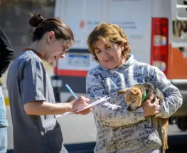 Rivadavia y Pocito reciben operativos gratuitos para perros y gatos