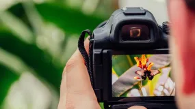 Rawson impulsa la creatividad con nuevos talleres gratuitos de cine y fotografía