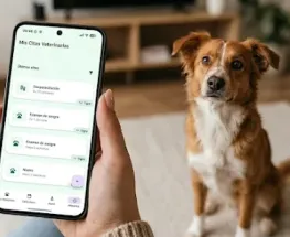 Desde San Juan lanzan una app para ordenar la salud de perros y gatos