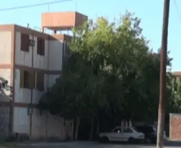 Confirman dónde ocurrió la muerte del perro y el apuntado sigue libre