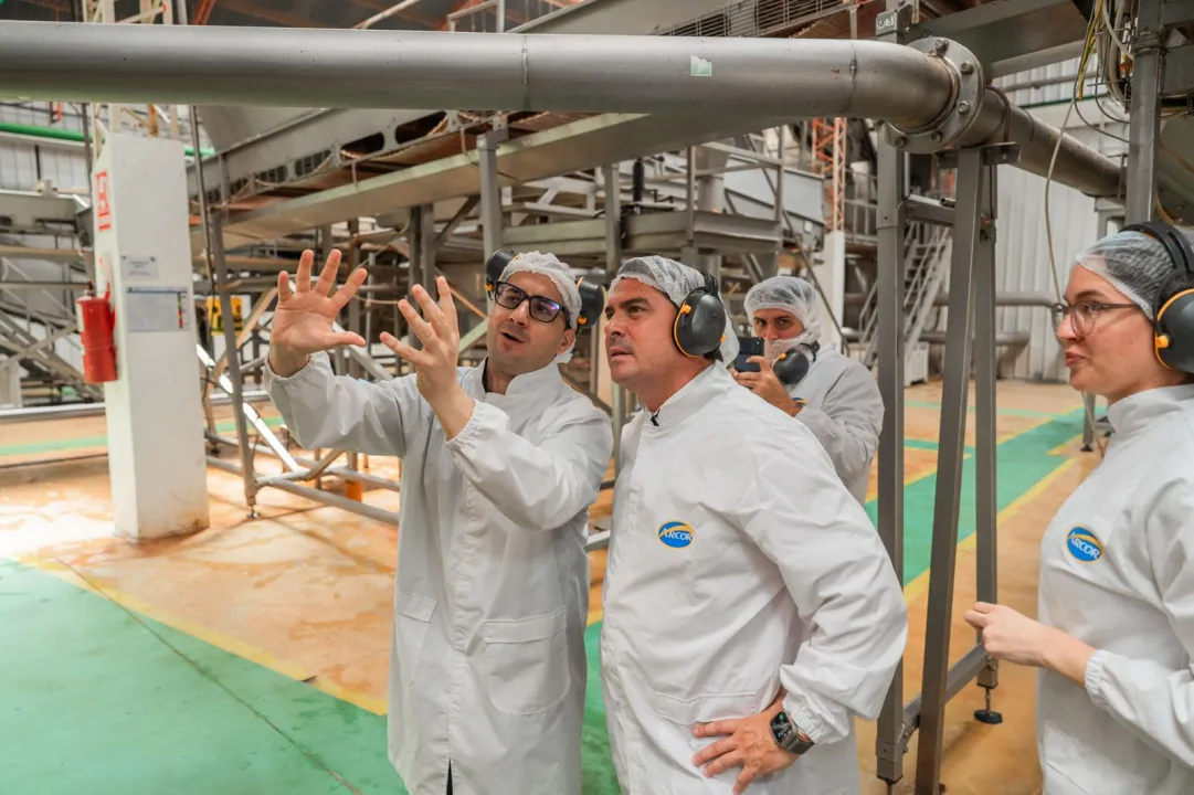 WhatsApp Image 2026-02-26 at 17.55.46.jpeg