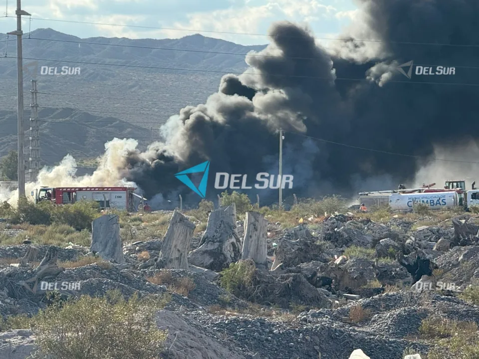 WhatsApp Image 2026-03-31 at 17.52.48.jpeg