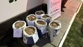 Liberaron a los chilenos que fueron frenados con oro extraído de una mina sanjuanina